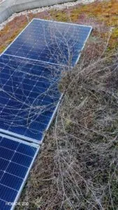 Čištění solárních panelů. Zdroj: Michal Špánek